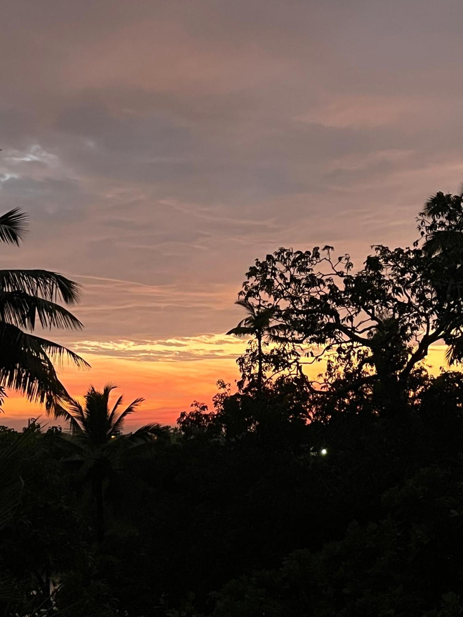 Green Nest Hostel, Baga- North Goa Arpora Ngoại thất bức ảnh