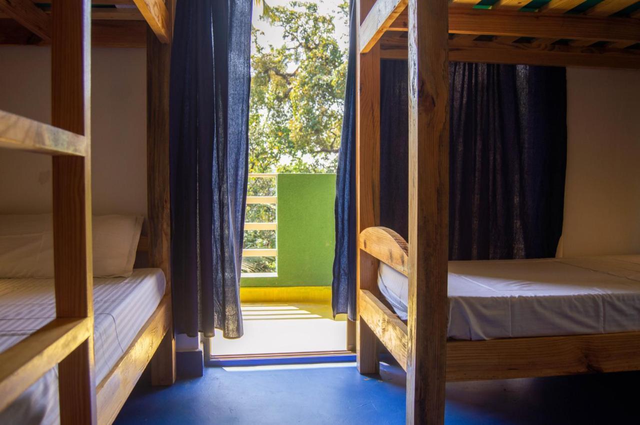 Green Nest Hostel, Baga- North Goa Arpora Ngoại thất bức ảnh